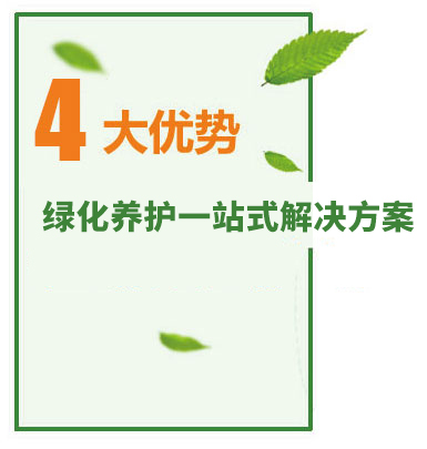 綠化保養(yǎng) 綠化保養(yǎng)